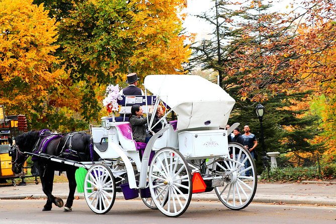 nyc-horse-carriage-ride-in-central-park-50-min-up-to-4-adults