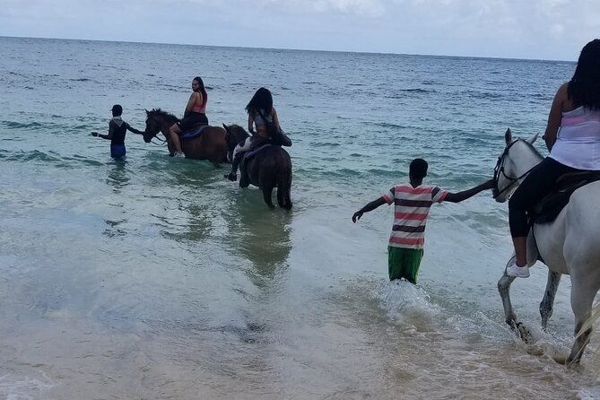 ocho-rios-private-horse-riding-river-tubing-and-raftingentry-fee-not-included