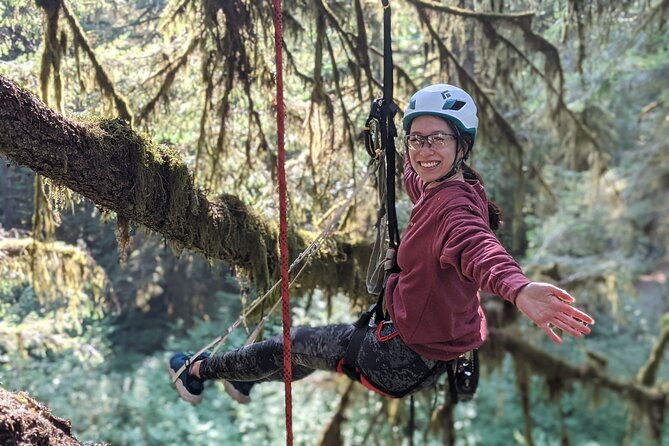 old-growth-tree-climbing-at-silver-falls-state-park