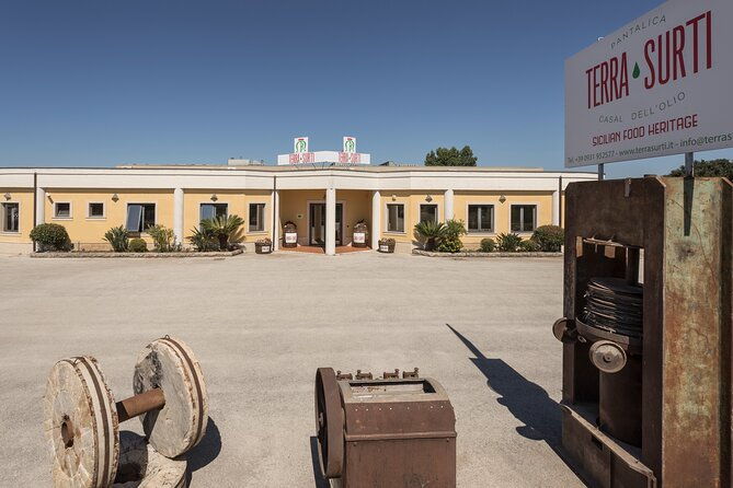 olive-harvest-visit-to-the-oil-mill-and-typical-lunch