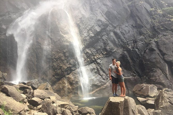 one-day-in-yosemite-private-touryosemite-valley-glacier-point-giant-sequoias