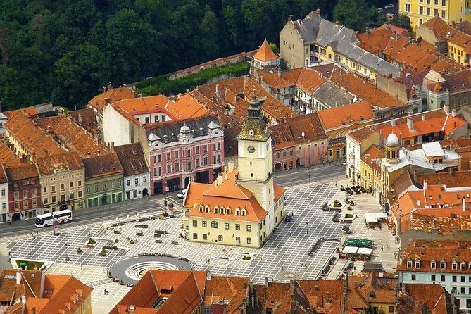 one-day-trip-bear-sanctuary-dracula-castel-and-rasnov-fortress-from-brasov