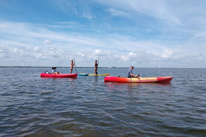 one-single-kayak-rental-for-2-hours-with-manatee-dolphin-sightings