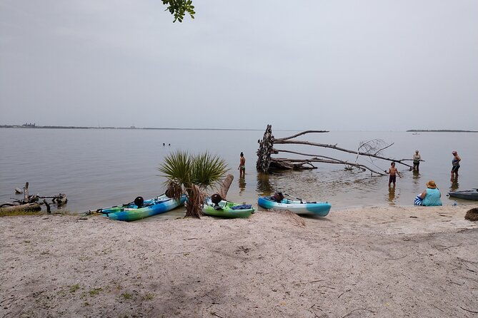 one-tandem-kayak-rental-for-2-hours-with-manatee-dolphin-sightings