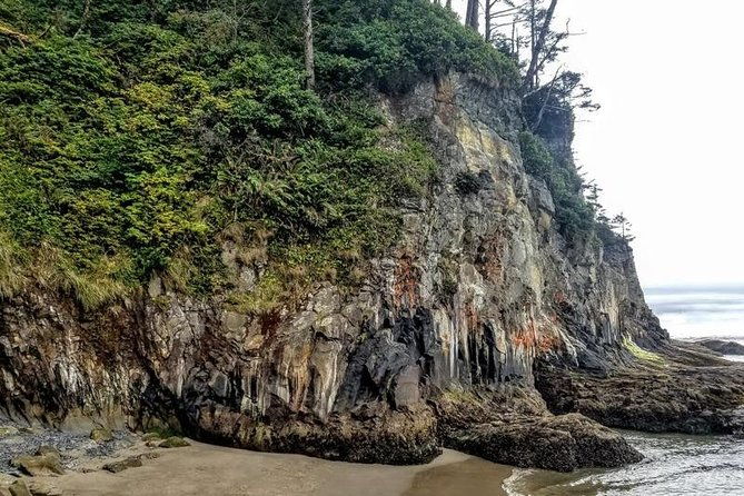 oregon-coast-tour-and-wine-tasting-from-portland-full-day-tour