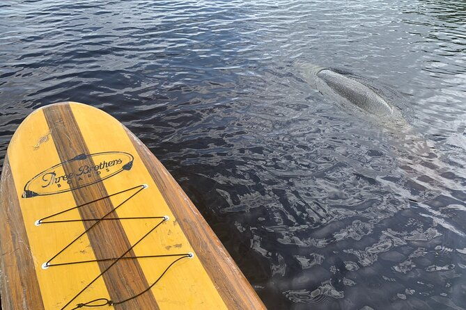orlando-manatee-and-olde-florida-history-adventure-tour