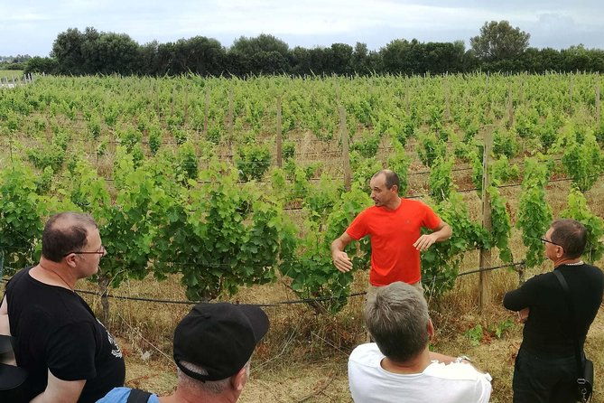 orosei-4x4-tour-wine-tasting