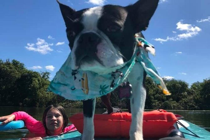 paddle-with-pups-in-paradise-paddleboard-or-kayak