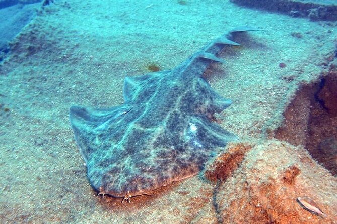 padi-advanced-diving-course-in-gran-canaria