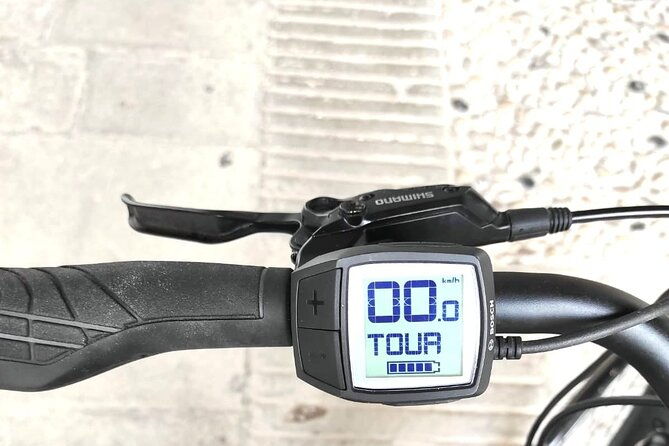 palladian-e-bike-rental-in-around-vicenza