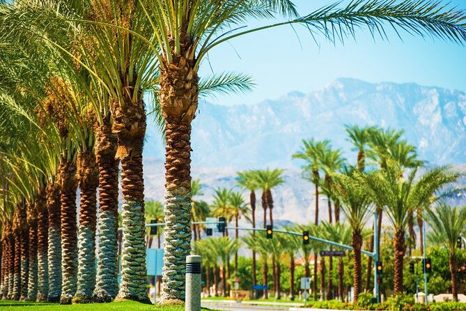 palm-springs-and-joshua-tree-self-guided-driving-audio-tours