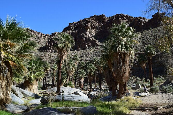 palm-springs-self-guided-driving-audio-tour