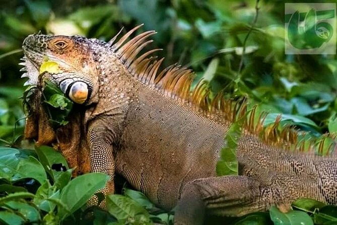 palo-verde-national-park-boat-safari-1-2-day