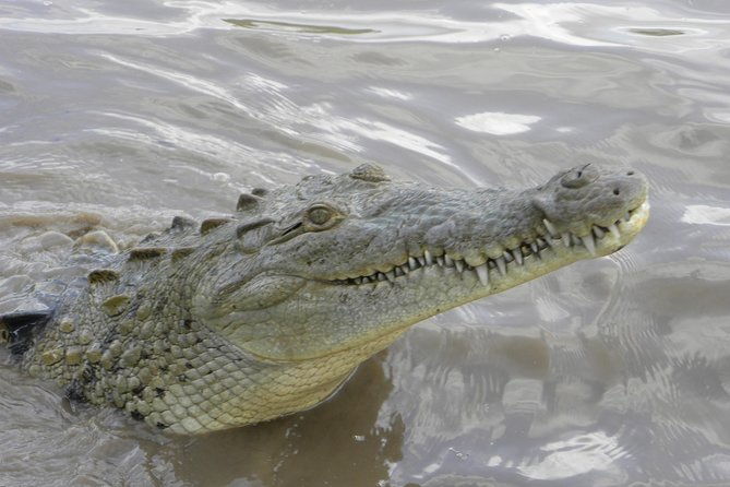 palo-verde-riverboat-tour