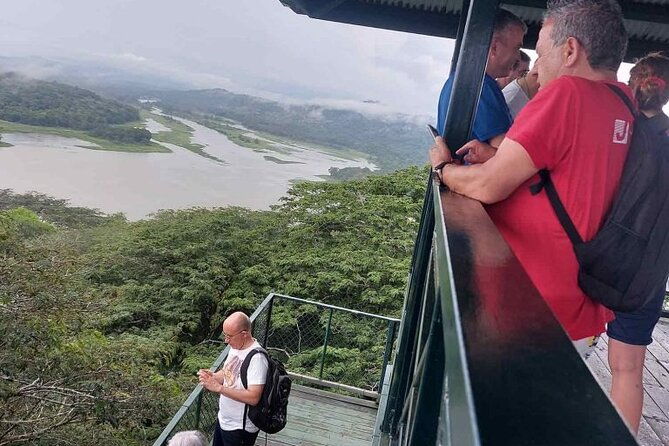 panama-eco-adventure-gatun-lake-aerial-tram-sloth-sanctuary