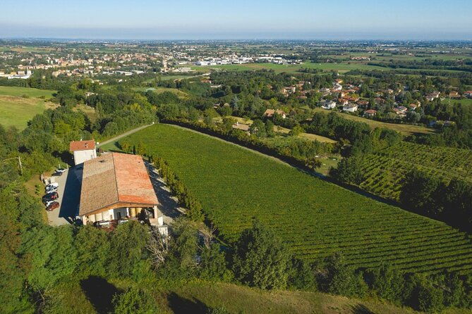 parma-hills-and-wine-tasting-with-food-platter