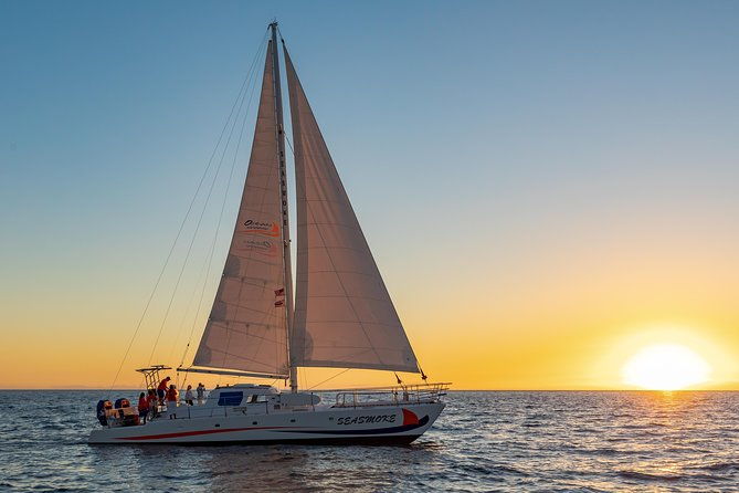 pau-hana-sunset-cruise-with-the-whales