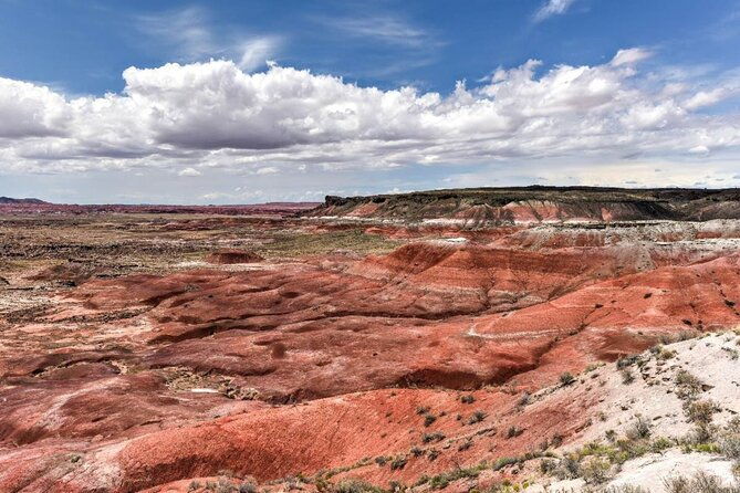 petrified-forest-national-park-self-guided-driving-audio-tour