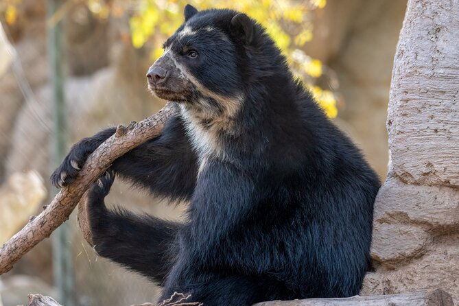 phoenix-zoo-admission-ticket-2