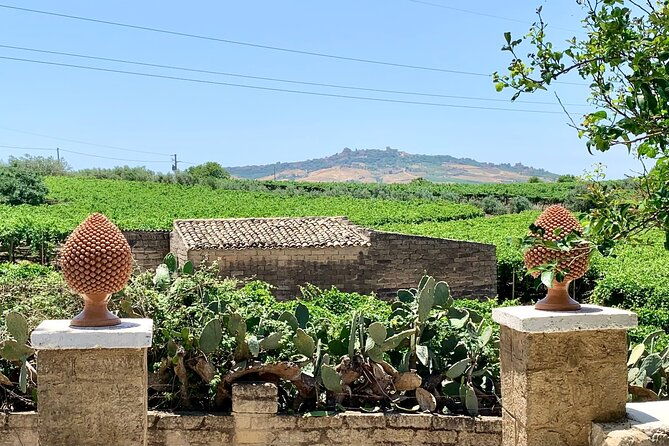 piazza-armerina-and-winery-private-tour-starting-from-agrigento