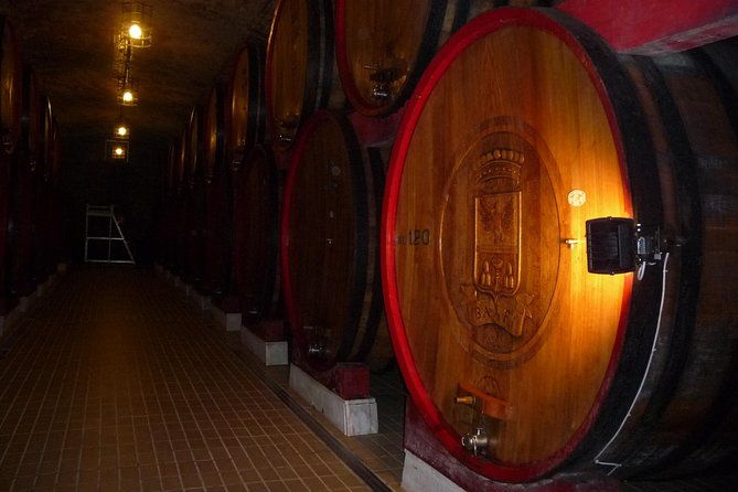 pienza-montalcino-brunello-wine-and-pecorino-cheese-private-tour-from-florence-2