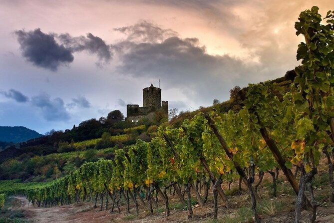 pinot-noir-pinot-wine-tour-to-baden-wurttemberg
