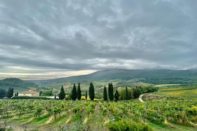 pisa-and-florence-shore-excursion-from-la-spezia-cruise-port