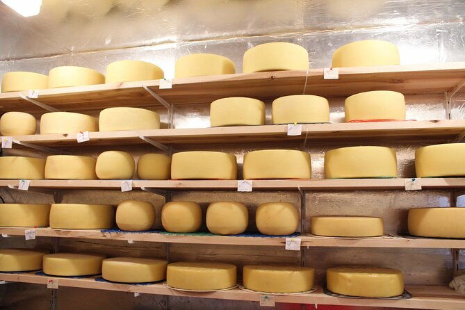 pisa-lucca-cheese-farm-with-wine-tasting-private-tour