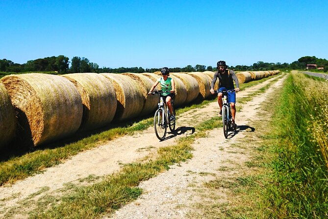 pisa-to-lucca-self-guided-bike-tour-along-the-puccini-trail