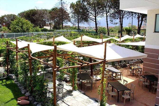 pompeii-vesuvius-with-lunch-wine-tasting-from-amalfi-coast