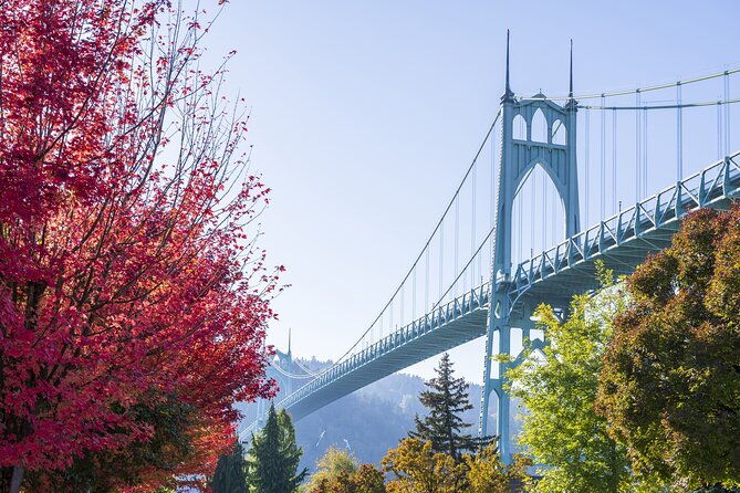 portland-city-tour-views-and-news
