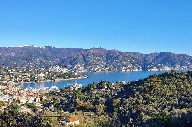 portofino-and-santa-margherita-private-tour-of-ligurian-gems
