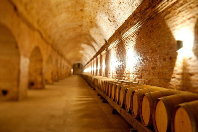 premium-wine-tour-vina-cousino-macul-official-portuguese