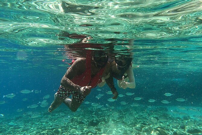 private-1-hour-guided-snorkeling-adventure-with-go-pro-pictures-2