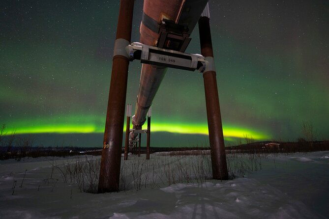 private-arctic-circle-expedition-from-fairbanks