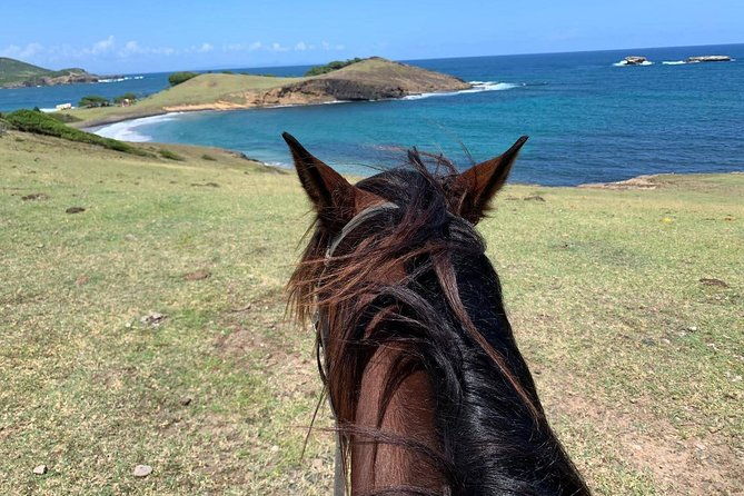 private-beach-horseback-ride-with-sandy-hoofs-st-lucia