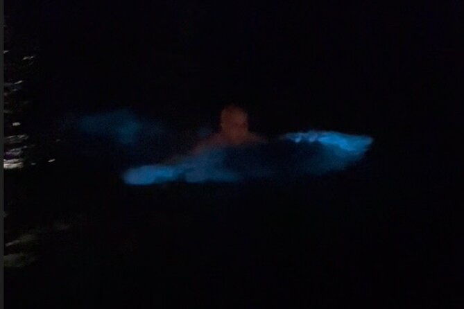 private-bioluminescence-tour