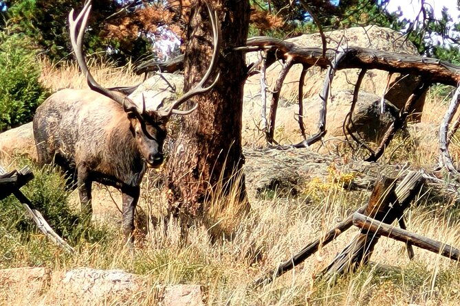 private-birding-hike-in-rocky-mountain-national-park
