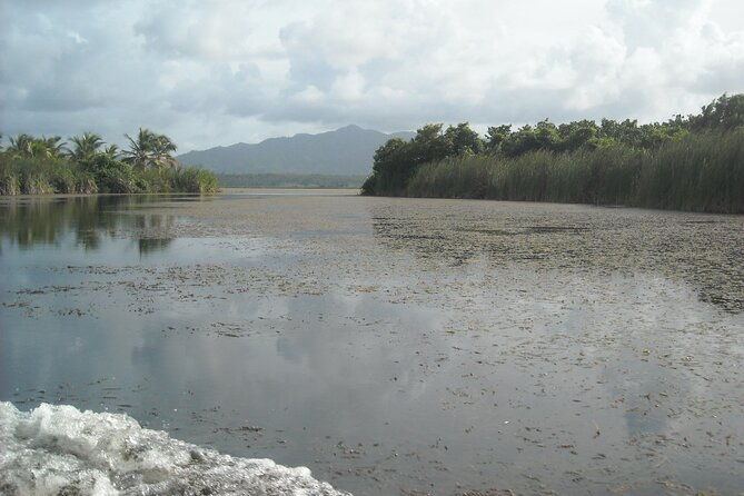 private-boat-nature-tour-of-limon-beach-and-lagoon