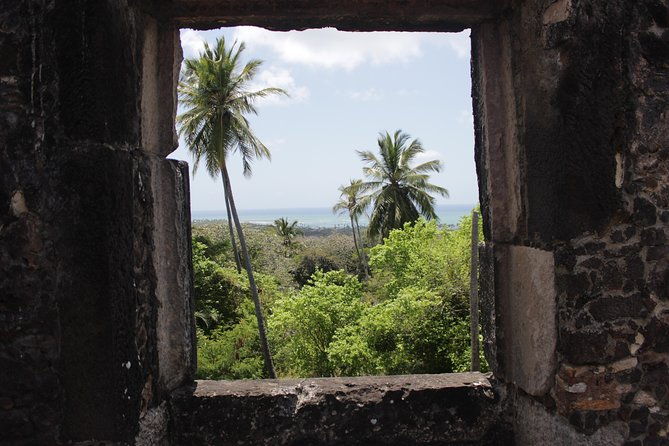 private-buggy-tour-sapiranga-reserve-forte-beach-by-emytour