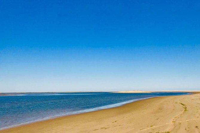 private-catamaran-boat-tour-ria-formosa