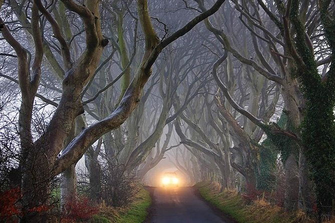 private-causeway-coastal-tour-rope-bridge-giants-causeway