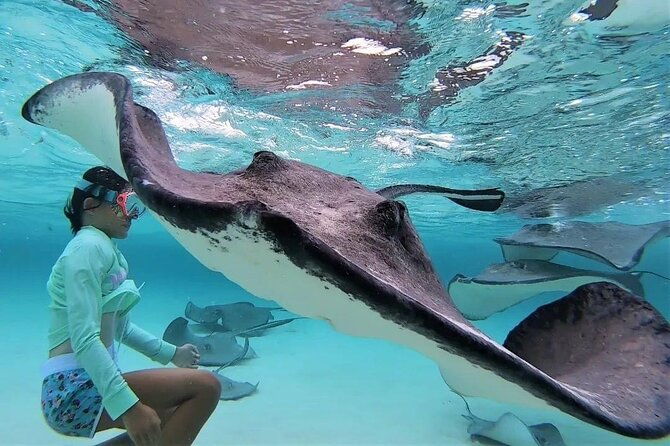private-charter-28ft-grady-white-stingrays-snorkeling-starfish