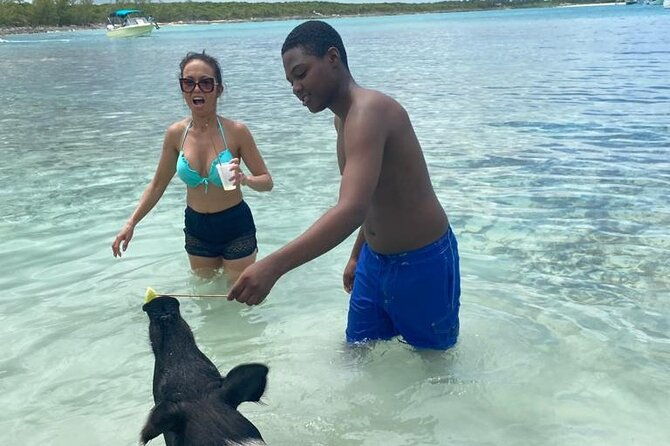 private-charter-for-snorkeling-swimming-pigs-turtles-fishing