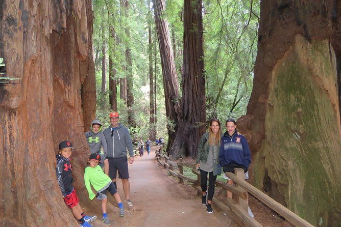private-cheese-trail-wine-country-giant-redwoods-day-tour-from-san-francisco