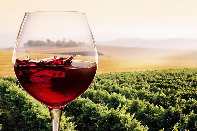 private-chianti-classico-tour-with-wine-and-food-tasting-in-a-historic-estate