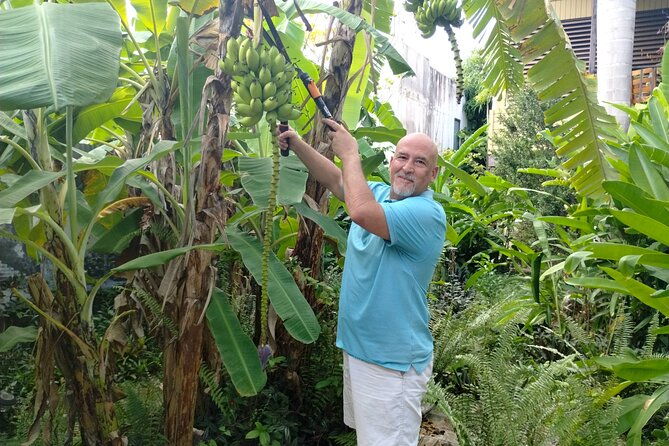 private-cooking-class-with-a-fun-local-in-san-german-puerto-rico