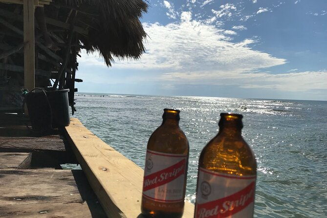 private-customizable-waterfalls-crocodiles-rum-tasting-or-pelican-bar-tour