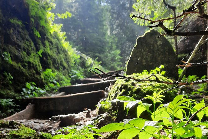private-day-hike-from-brasov-to-malaiesti-cottage