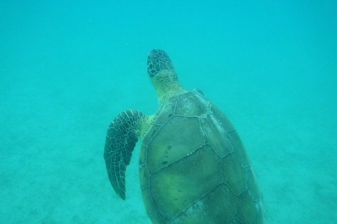 private-day-sail-snorkel-with-virgin-islands-day-sailing-6-guest-max
